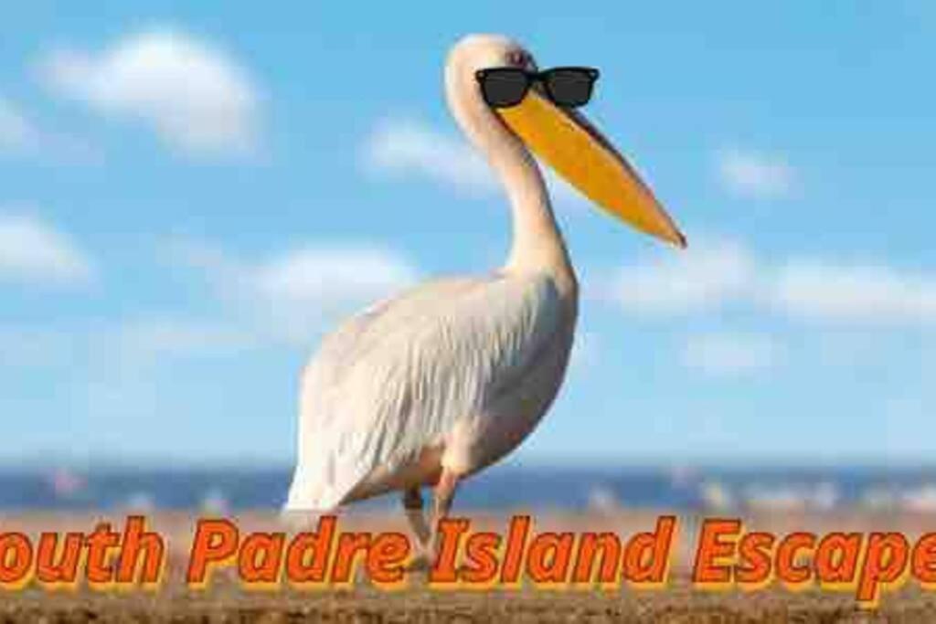 Coronado Get-Away At Fantasy Circle 南帕诸岛 外观 照片